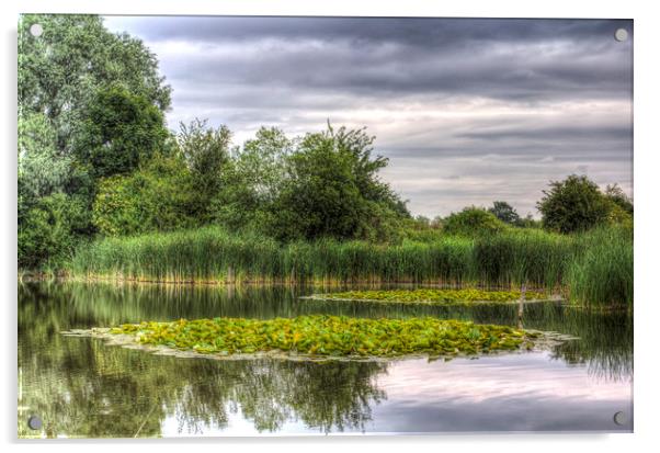 The Lily Pond  Acrylic by David Pyatt