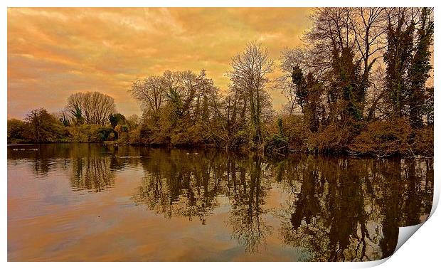 Winter Sunrise over the lake  Print by Sue Bottomley