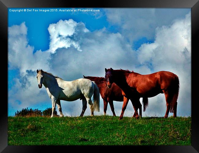  horses on the hill Framed Print by Derrick Fox Lomax