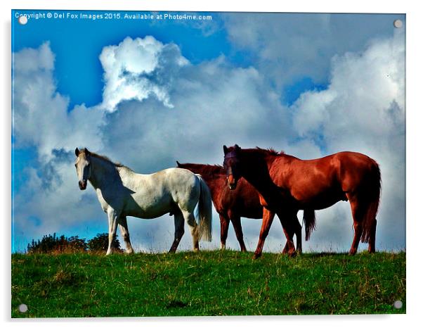  horses on the hill Acrylic by Derrick Fox Lomax
