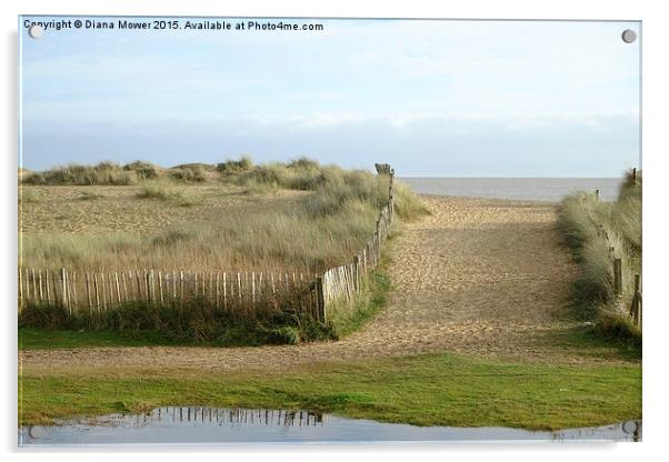  Walberswick Beach Path Acrylic by Diana Mower