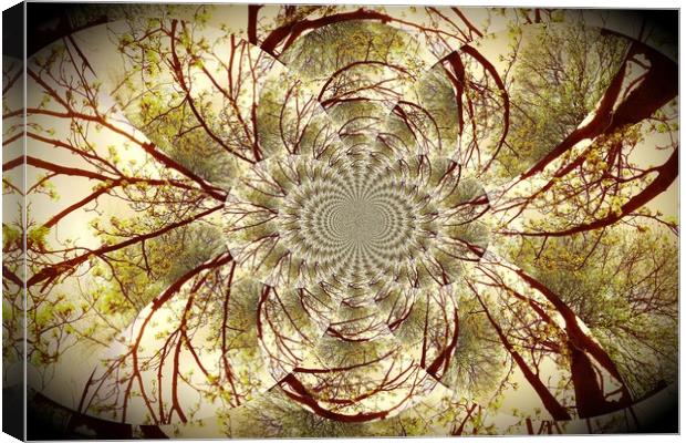 Winter Tree Kaleidoscope.  Canvas Print by Heather Goodwin