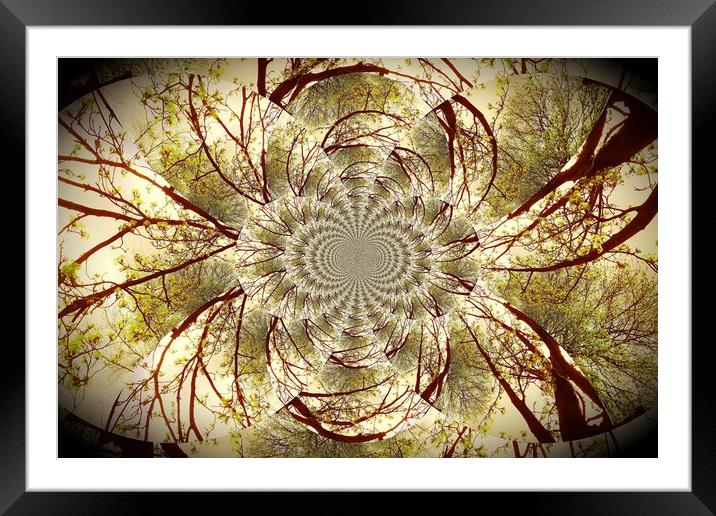 Winter Tree Kaleidoscope.  Framed Mounted Print by Heather Goodwin