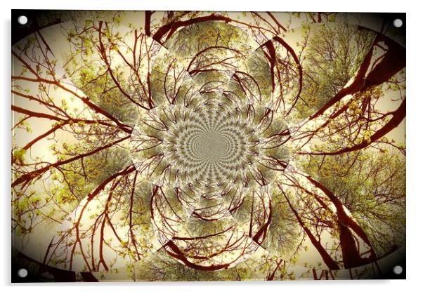 Winter Tree Kaleidoscope.  Acrylic by Heather Goodwin