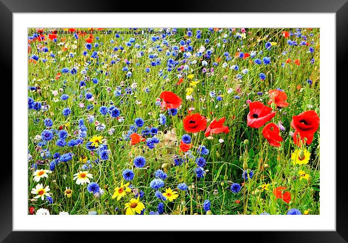 Poppy Daisy and Kitty  Framed Mounted Print by Michelle BAILEY