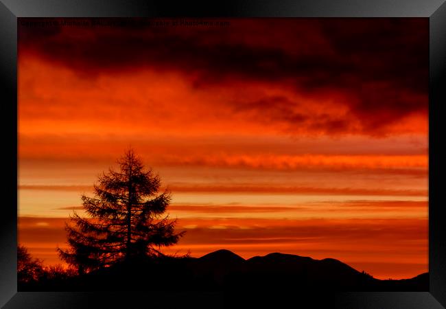 Sunset Silhouettes Framed Print by Michelle BAILEY