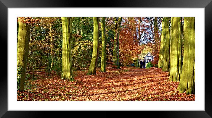  Autumn leaves at The Old Hall Framed Mounted Print by Rob Medway