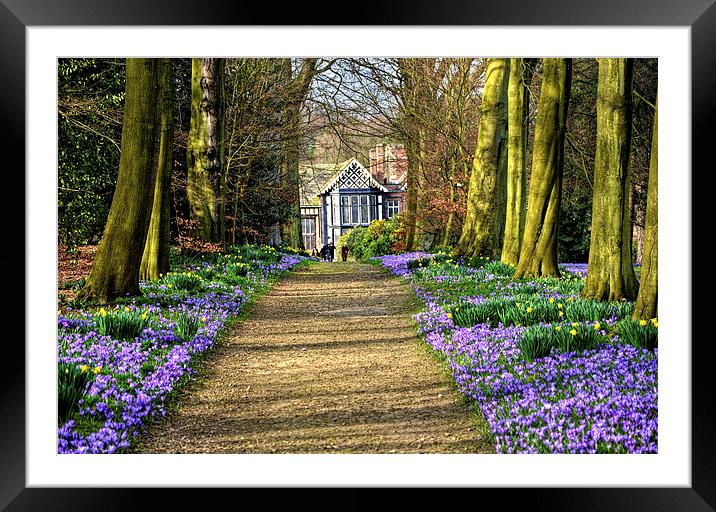 The Old Hall in Spring Framed Mounted Print by Rob Medway