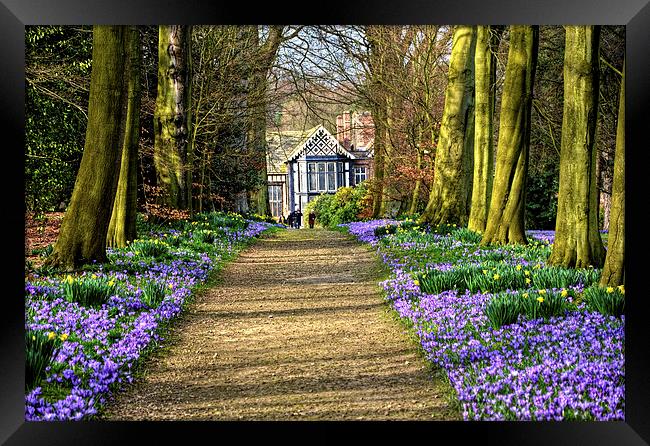 The Old Hall in Spring Framed Print by Rob Medway
