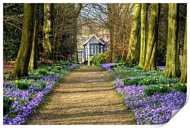 The Old Hall in Spring Print by Rob Medway