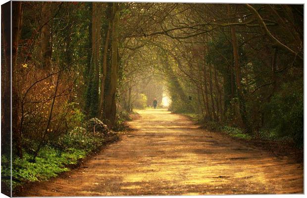  A quiet country lane in the North West of England Canvas Print by Rob Medway