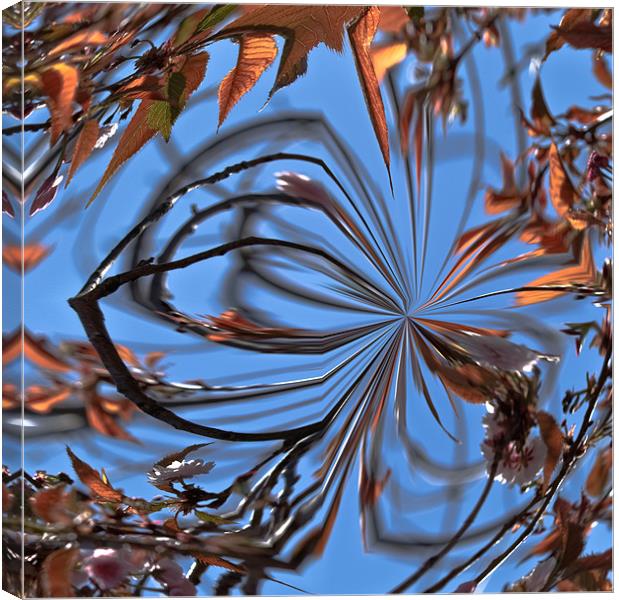 Abstract Leaves Canvas Print by Brian Roscorla