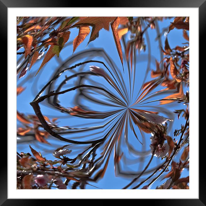 Abstract Leaves Framed Mounted Print by Brian Roscorla