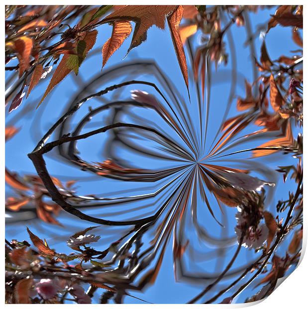Abstract Leaves Print by Brian Roscorla