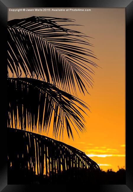 Silhouette of palm leaves Framed Print by Jason Wells