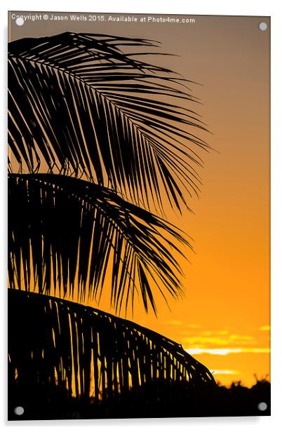 Silhouette of palm leaves Acrylic by Jason Wells