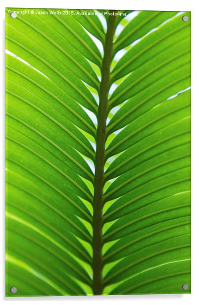 Close-up of a palm leaf Acrylic by Jason Wells