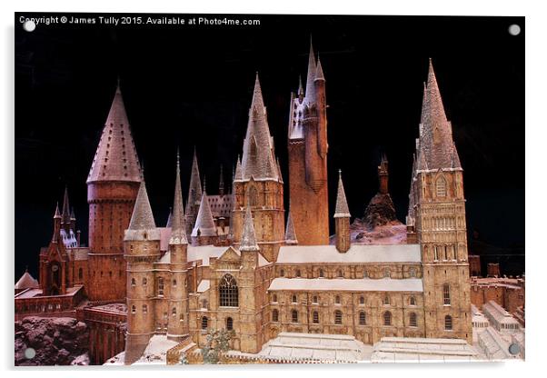  Hogwarts castle Acrylic by James Tully