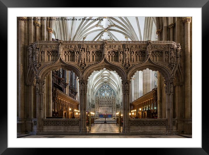  Through the Screen, Bristol Cathedral Framed Mounted Print by Carolyn Eaton