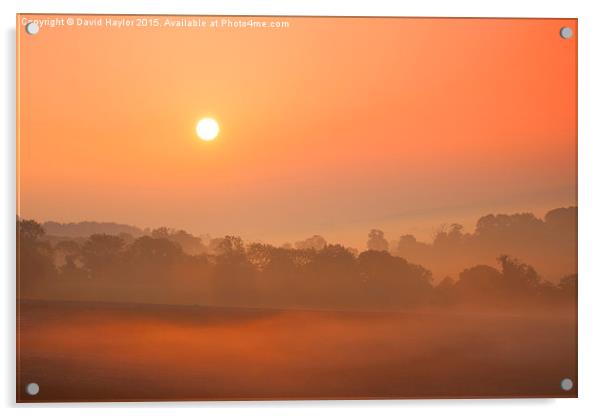  Sunrise and mist at Newland Corner Acrylic by David Haylor