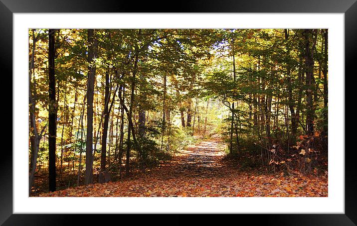Early Autumn Way  Framed Mounted Print by james balzano, jr.