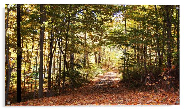 Early Autumn Way  Acrylic by james balzano, jr.