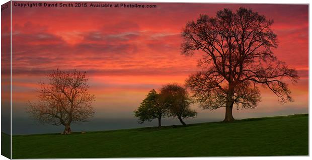 sunset in the Vale of Appleby  Canvas Print by David Smith