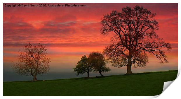 sunset in the Vale of Appleby  Print by David Smith