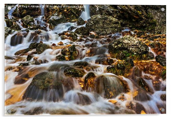  Girdle Scar Waterfall Acrylic by Reg K Atkinson