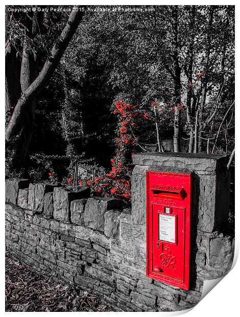 Postbox in red Print by Gary Peacock