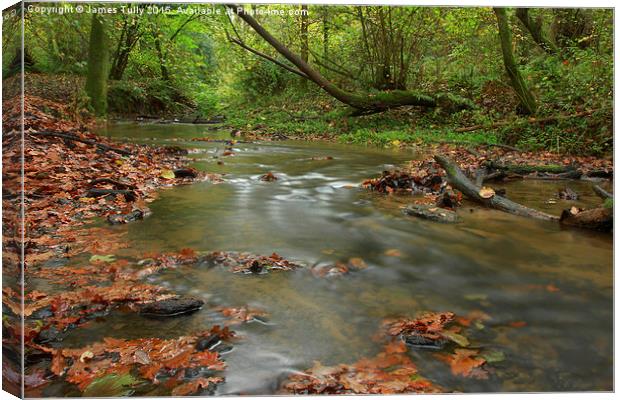 Fall and water Canvas Print by James Tully