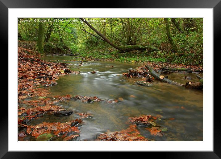 Fall and water Framed Mounted Print by James Tully