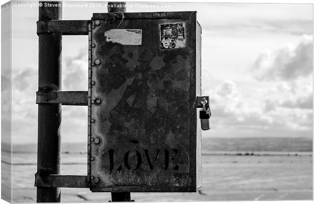  box of love Canvas Print by Steven Blanchard