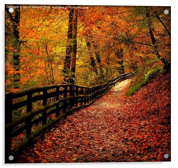  Autumn Path Acrylic by Jamie Mitchell