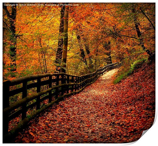  Autumn Path Print by Jamie Mitchell