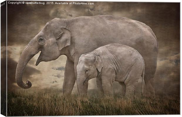 Elephant Mother and Calf Canvas Print by rawshutterbug 