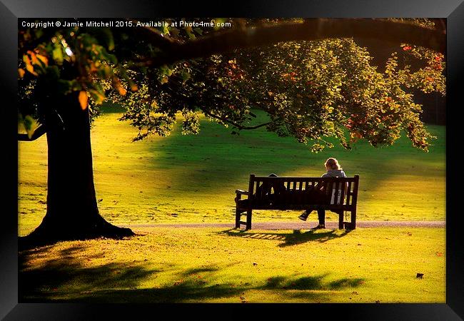 Lazy Day At Hampstead Heath Framed Print by Jamie Mitchell