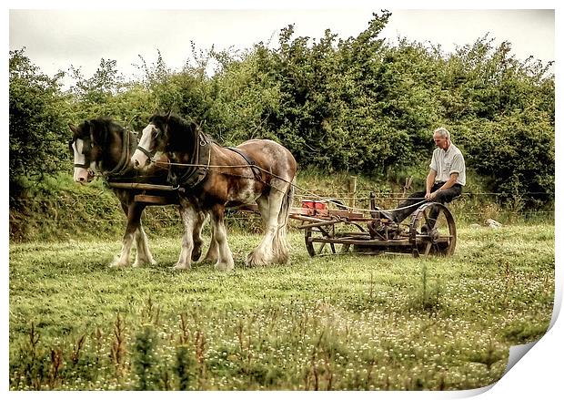  Working shire horses in Ireland Print by Rob Medway