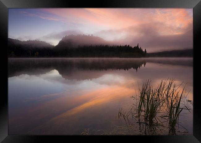 Misty Dawn Framed Print by Mike Dawson