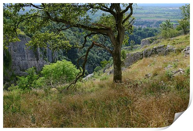  Cheddar Gorge  View Print by Diana Mower