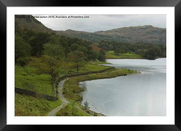  WALKING ROUND THE LAKE Framed Mounted Print by andrew saxton