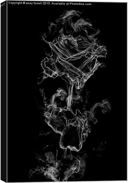  Rose of Smoke Canvas Print by zoey turrell
