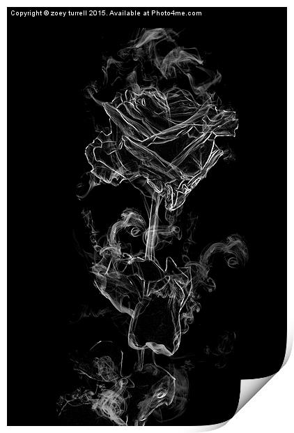  Rose of Smoke Print by zoey turrell