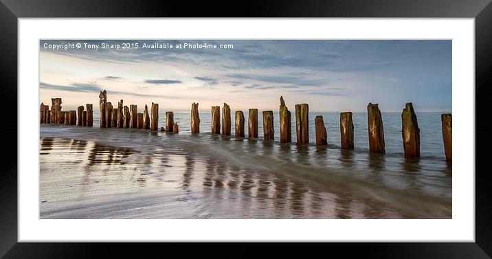 Sentinals Framed Mounted Print by Tony Sharp LRPS CPAGB