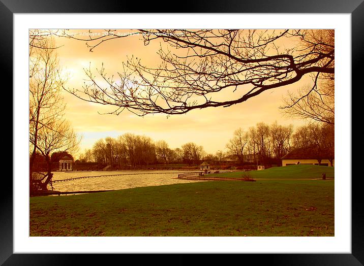 Winter in the Park  Framed Mounted Print by Jacqui Kilcoyne