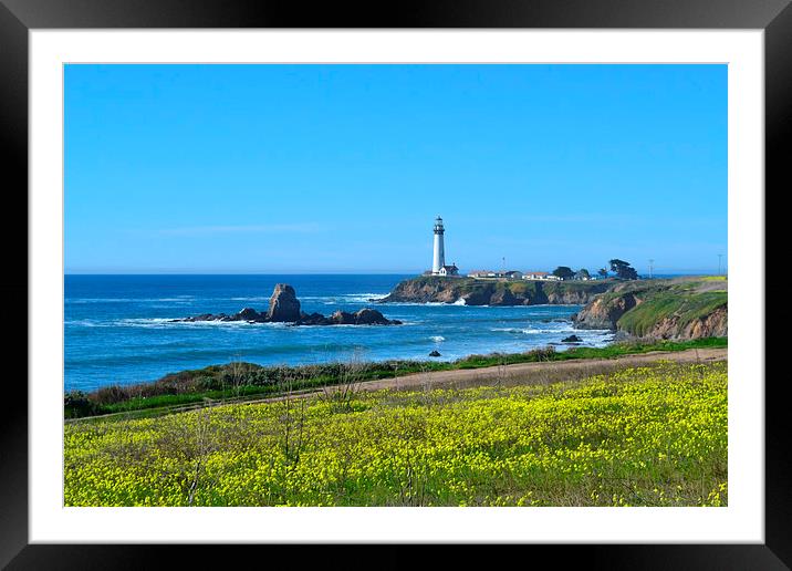   Lighthouse on the peninsula  Framed Mounted Print by Liam Green