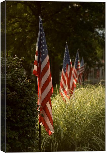  Stars and Stripes Canvas Print by Peter Isaacson