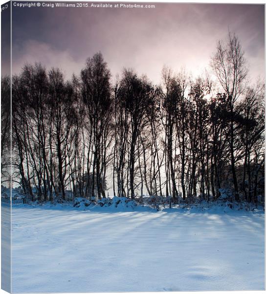 Closed for Snow Canvas Print by Craig Williams