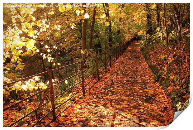  Autumn Walk Print by Jamie Mitchell