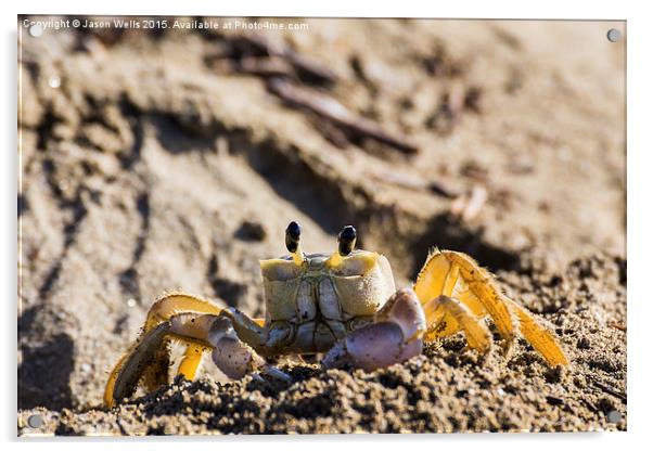 Sand crab searching the beach for food Acrylic by Jason Wells